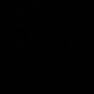 Meet your Posher, Drew